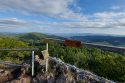 Pieniny - Wysoka i Wąwóz Homole