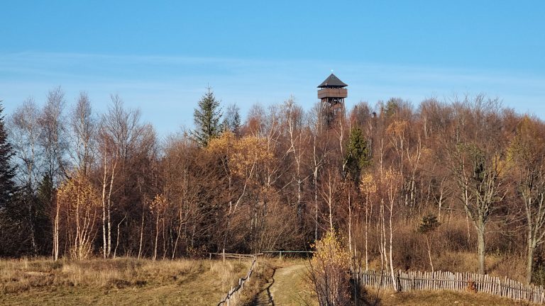 Beskid Sądecki - Koziarz