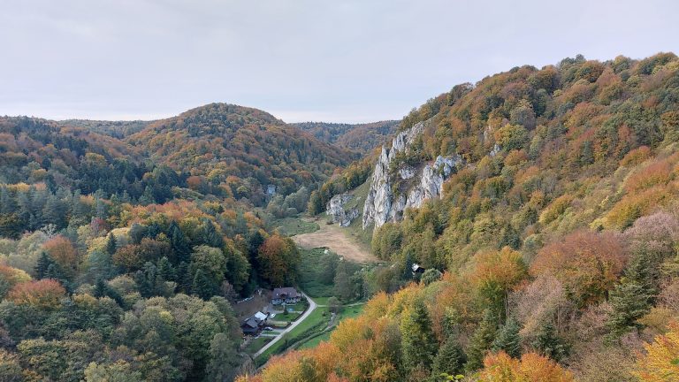 Jura Krakowsko-Częstochowska - Góra Okopy