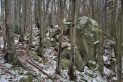 Beskid Niski - Rezerwat Kornuty