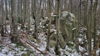 Beskid Niski - Rezerwat Kornuty