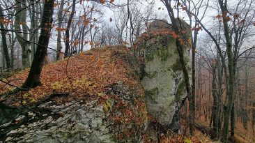 Jura Krakowsko-Częstochowska - Rezerwat Przyrody Góra Stołowa