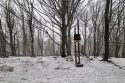 Beskid Niski - Wątkowa i Magura