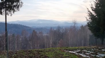 Pogórze Wisnickie - Sobolów 1