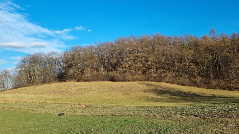 Podgórze Krakowskie - Winnica