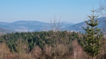 Beskid Makowski - Trzebuńska Góra