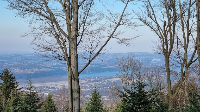 Beskid Makowski - Uklejna