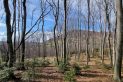 Beskid Wyspowy - Cubla Góra i Grodzisko