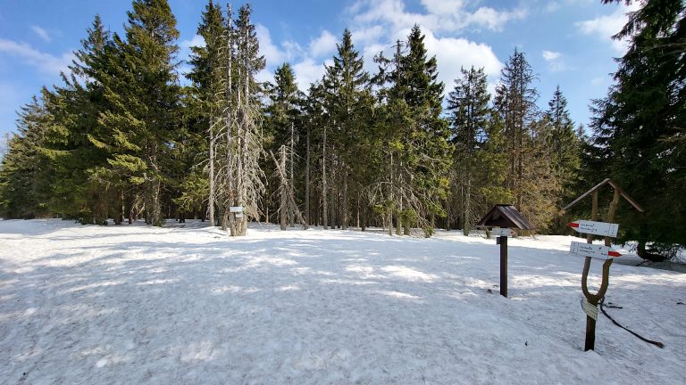 Beskid Żywiecko-Orawski - Trzy Kopce