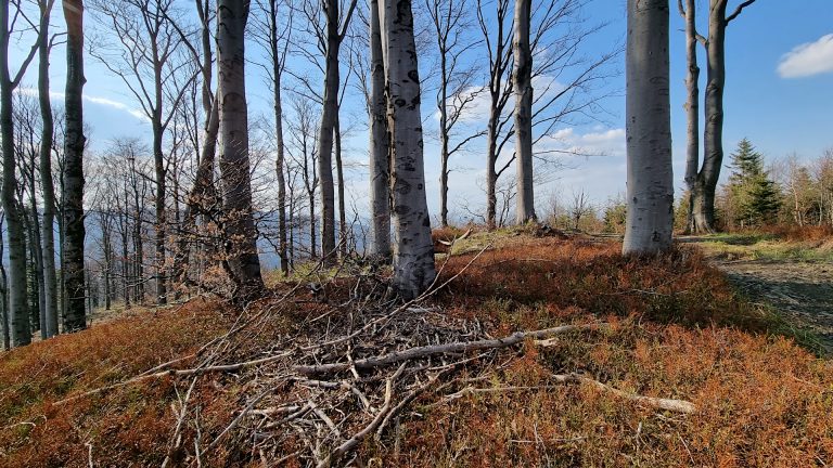 Beskid Mały - Na Beskidzie