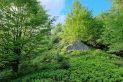 Beskid Sądecki - Jasiennik