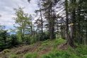 Beskid Sądecki - Wielka Przehyba