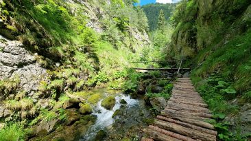 Chočské vrchy - Prosiecka Dolina