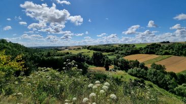 Jura Krakowsko-Częstochowska - Dolina Dłubni