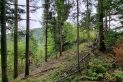 Beskid Wyspowy - Czechówka