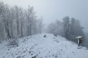 Beskid Niski - Jaworzyna Konieczniańska