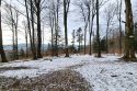 Beskid Niski - Kozie Żebro
