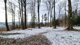 Beskid Niski - Kozie Żebro