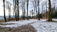 Beskid Niski - Kozie Żebro