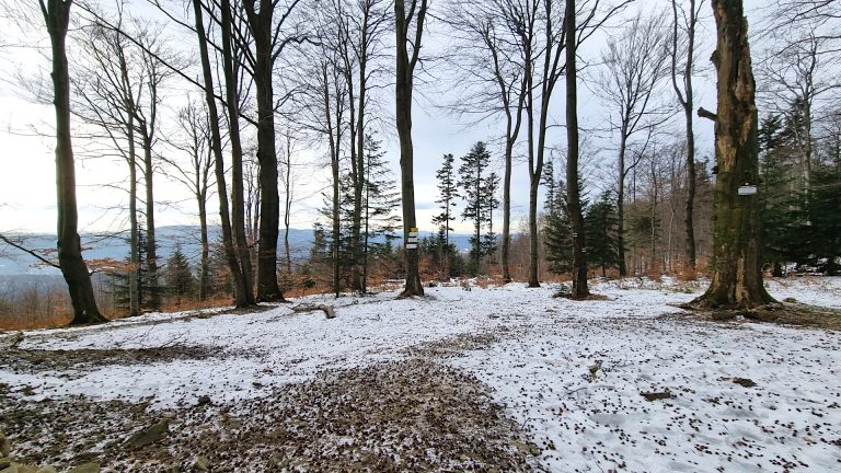 Beskid Niski - Kozie Żebro