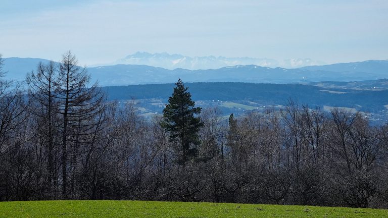 Pogórze Rożnowskie - Kobylnica