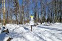 Beskid Niski - Magura Małastowska