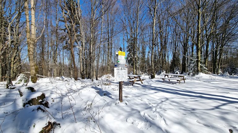 Beskid Niski - Magura Małastowska