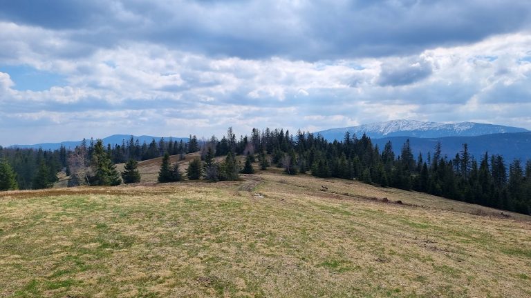 Beskid Żywiecko-Orawski - Lachów Groń