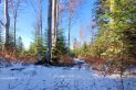 Beskid Niski - Sołtysia Góra