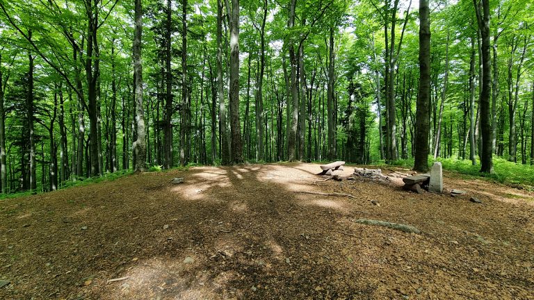 Beskid Mały - Jaroszowicka Góra