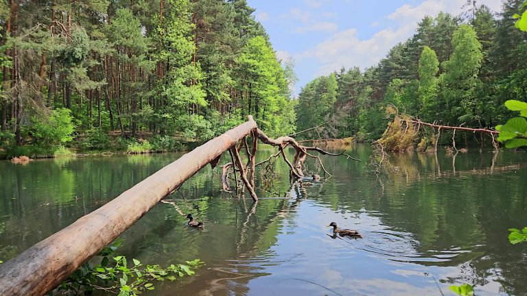 Pagóry Jaworznickie - Dolina Żabnika