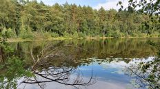 Mecklenburgische Seenplatte - Wienpietschseen