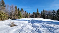 Beskid Wyspowy - Mały Krzystonów