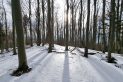 Beskid Sądecki - Zadnie Góry