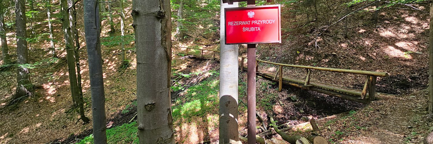 Beskid Żywiecko-Kysucki - Rezerwat Śrubita