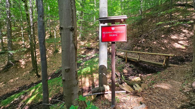 Beskid Żywiecko-Kysucki - Rezerwat Śrubita