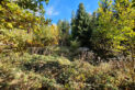 Beskid Makowski - Bryndzówka