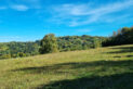 Beskid Makowski - Makowska Góra