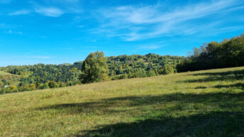 Beskid Makowski - Makowska Góra