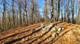 Beskid Niski - Ostry Wierch