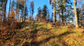 Beskid Niski - Stożek i Wnyki