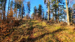 Beskid Niski - Stożek i Wnyki