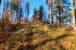 Beskid Niski - Stożek i Wnyki