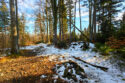 Beskid Mały - Wielka Cisowa Grapa