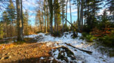 Beskid Mały - Wielka Cisowa Grapa