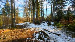 Beskid Mały - Wielka Cisowa Grapa
