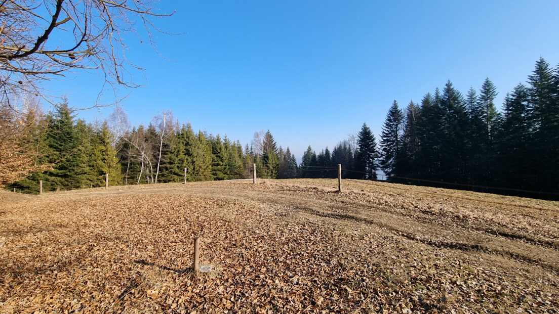 Pasma Pewelsko-Krzeczowskie - Bąków