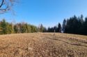 Pasma Pewelsko-Krzeczowskie - Bąków