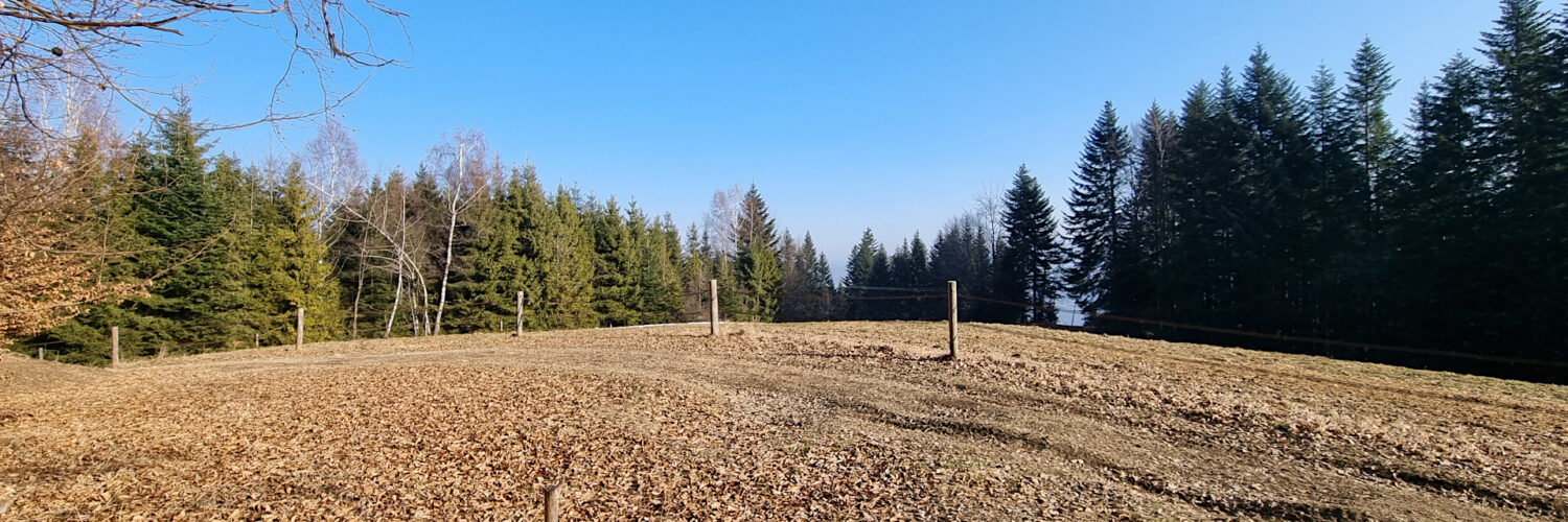 Pasma Pewelsko-Krzeczowskie - Bąków