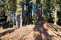 Beskid Wyspowy - Zbludzkie Wierchy
